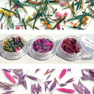 ドライフラワー 葉っぱ 花びら つぼみ 押し花 色々ミックス レジン ネイル 封入 花材 素材 レジンアクセ…