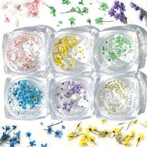 W f ޗ WANZT[ lC  Ԃт  󂠂 hCt[ 6FZbg rp-310 GreenRoseYumi