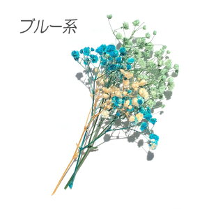 hCt[ JX~\E ݑ F A\[g W  f ޗ WANZT[ ԍ 2g f62 GreenRoseYumi