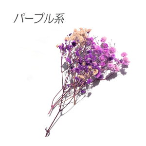 hCt[ JX~\E ݑ F A\[g W  f ޗ WANZT[ ԍ 2g f62 GreenRoseYumi