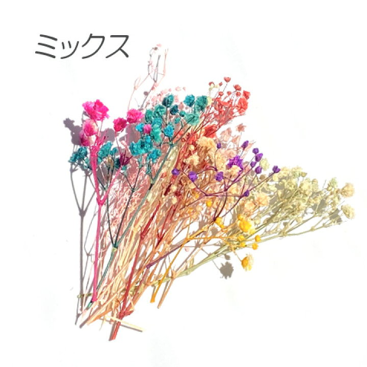 楽天市場】ドライフラワー カスミソウ かすみ草 色別 アソート レジン  