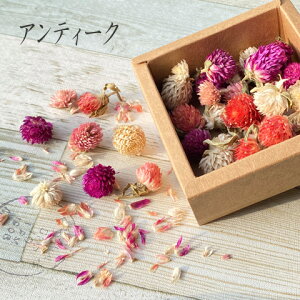 hCt[ A\[g ~bNX l W n[oE |v  ԍ WNtg ANZT[p[c ܁yf75zGreenRoseYumi