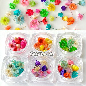 W  f ޗ hCt[ X^[t[ WNtg WANZT[ n[oE ԍ F RP-14 GreenRoseYumi