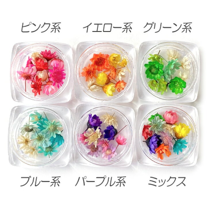 楽天市場】レジン 封入 素材 材料 ドライフラワー スターフラワー 
