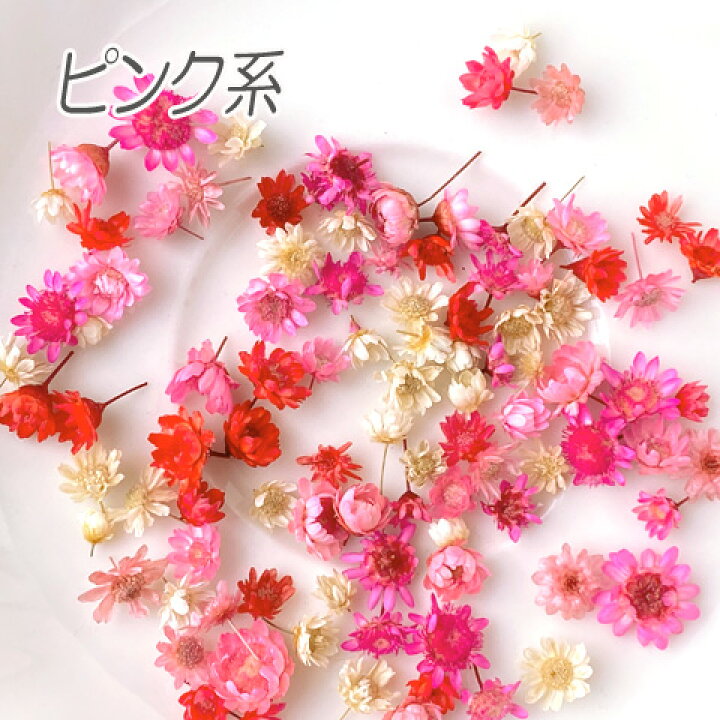楽天市場】レジン 封入 素材 材料 ドライフラワー スターフラワー 