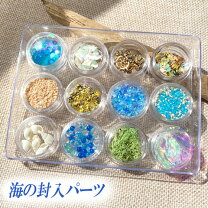 楽天市場】星の砂 貝殻の通販