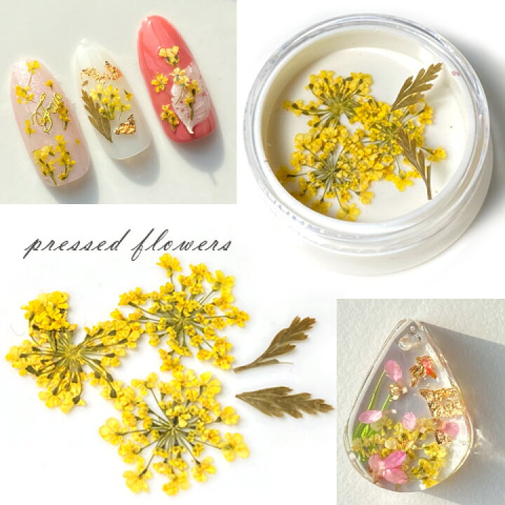 楽天市場】レジン封入 素材 材料 レジンアクセサリー 押し花 小花