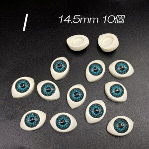 y󂠂菤iz  l` ʂ  h[ ҂݂ [h[ nhCh \tp[c vX`bNp[c J{V ym1-2622 GreenRoseYumi