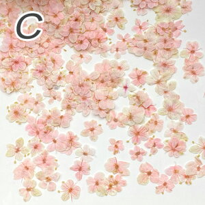   hCt[ W lC  f ޗ WANZT[ t XvO ԍ 10 f83 GreenRoseYumi