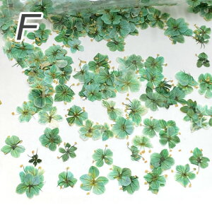 ������ ���� �h���C�t�����[ ���W�� �l�C�� ���� �f�� �ޗ� ���W���A�N�Z�T���[ �t �X�v�����O �ԍ� 10������ f83 GreenRoseYumi