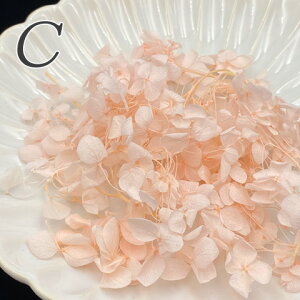  z AWTC hCt[ n[oE  vU[uht[ W lC ޗ WANZT[ ԍ f  f84 2g GreenRoseYumi