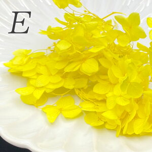  z AWTC hCt[ n[oE  vU[uht[ W lC ޗ WANZT[ ԍ f  f84 2g GreenRoseYumi