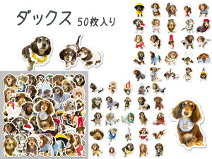 V[ XebJ[ t[NV[ Aj}   Ck  L lR ˂ CN x 蒠fR  L 蒠 fR 1 seal-184 GreenRoseYumi