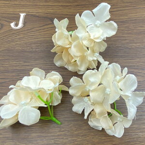   tFCNt[ nhCh fBXvC  t[ ANZT[p[c 10 Z-56 GreenRoseYumi