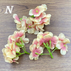   tFCNt[ nhCh fBXvC  t[ ANZT[p[c 10 Z-56 GreenRoseYumi