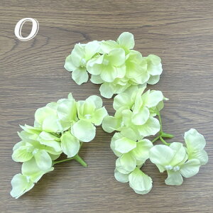   tFCNt[ nhCh fBXvC  t[ ANZT[p[c 10 Z-56 GreenRoseYumi