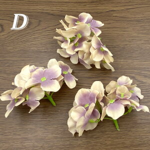   tFCNt[ nhCh fBXvC  t[ ANZT[p[c 10 Z-56 GreenRoseYumi