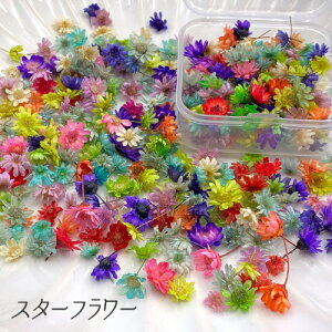 X^[t[ hCt[ W WANZT[ ԃW t[W  f ޗ n[oE ԍ Ɩ󂠂 P[X  1g f87 GreenRoseYumi