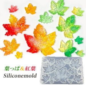 gt t ݂ [h VR^ VR[h W^ t [t  H ͂ WANZT[ 1 mold-440 GreenRoseYumi