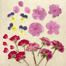 押し花 ミニバラ 薔薇 桜風 サクラ 茎 ビオラ ドライフラワー 花びら 春 スプリング 花材 レジン レジンクラフト 封入 ネイル pf33 GreenRoseYumi