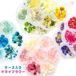 X^bt܂ hCt[ A\[g Ԍ^P[X  S6F 1 assort290 GreenRoseYumi