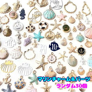 C }  T}[ L `[ p[c y  A\[g _ 30 fuku45 GreenRoseYumi