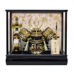 yz ʐ^ăIS[t ܌l` RpNg  12슕P[XYN30331GKC Ԍ43×s28×38cm l`P[X ؐ|t  P[X kabuto yoroi KXP[X 