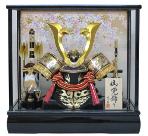 yz 12LpP[XYN50303GKC ܌l` RpNg  KXP[X ؐ|t  P[X kabuto Ԍ43×s28×41cmiP[XOj RpNgTCY