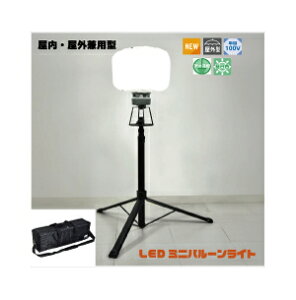 LED~jo[Cg }CmE~[ XCb`t Ort