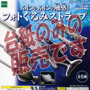 y񔄕ifBXvC䎆zӂɂӂɂGItHg݃Xgbv G|bN(EPOCH)K`|KV|