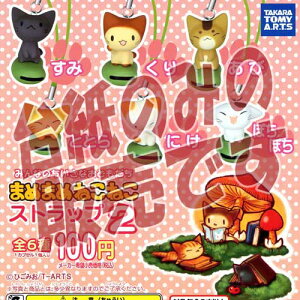 y񔄕ifBXvC䎆z܂߂܂߂˂˂Xgbv2 ^Jg~[A[cK`|KV|JvZRNV