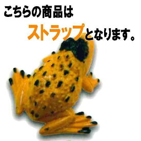 楽天市場 両生網カエル目の通販