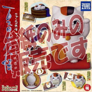 y񔄕ifBXvC䎆zĖڗFl jR搶 tBMARNV ^Jg~[A[c K`|