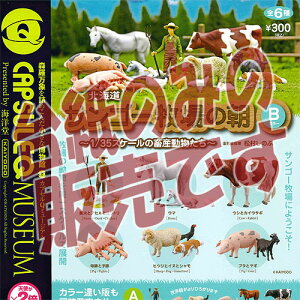 y񔄕ifBXvC䎆zJvZQ~[WA kCTS[q̒-1/35XP[̒{Y- BJ[ Cm K`|