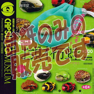 y񔄕ifBXvC䎆zJvZQ~[WA zɃJGuz^v Cm K`|