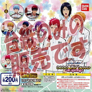 y񔄕ifBXvC䎆zq̃oXP JvZʃobWRNV-in spring- o_C K`|