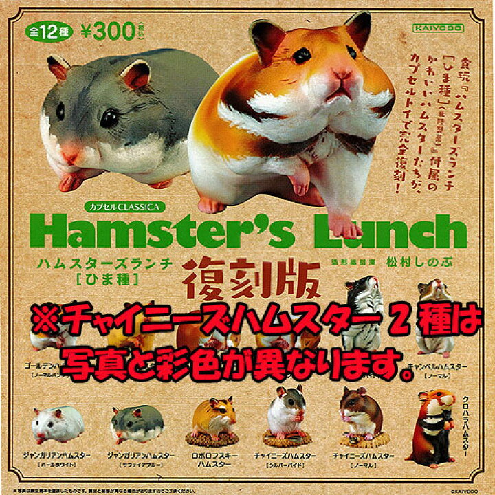 ハムスター缶バッチ 5つセット