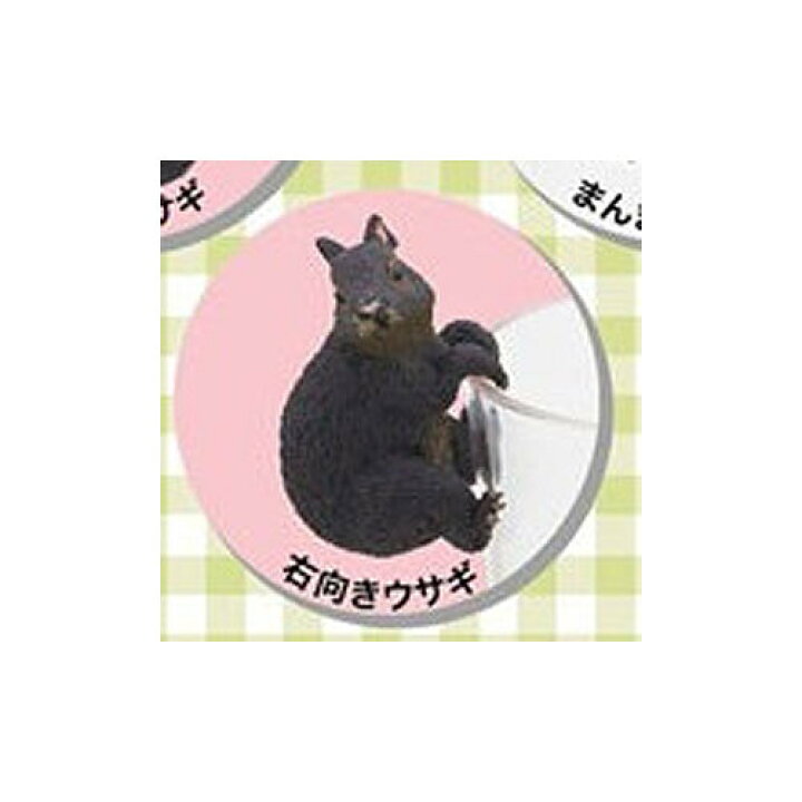 楽天市場 奄美大島 アマミノクロウサギ 5 右向きウサギ ヤマア Boxフィギュア 遊you 楽天市場店
