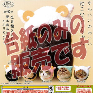 y񔄕ifBXvC䎆z˂̂Ԃ 4e 킢킢 ˂Ђ 权Nu K`|