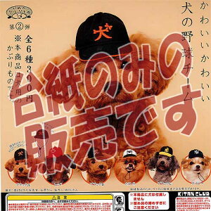 y񔄕ifBXvC䎆zʂ̂Ԃ 2e 킢킢 ̖싅`[ 权Nu K`| K`K` KV|