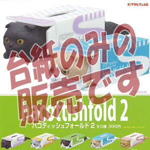 y񔄕ifBXvC䎆znReBbVtH[h 2 hacottishfold 权Nu K`| K`K` KV|