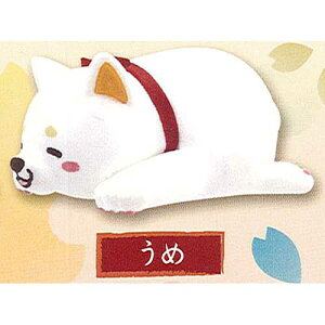  tBMA 6F GXPCWp K`| K`K` KV|