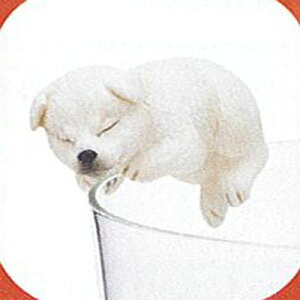 PUTITTO Č 4F(˂ނ) 权Nu K`| K`K` KV|