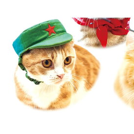 ネコス キュートなねこの世界旅行 2：チャイナ グレイ・パーカー・サービス BOXフィギュア 猫 かぶりもの