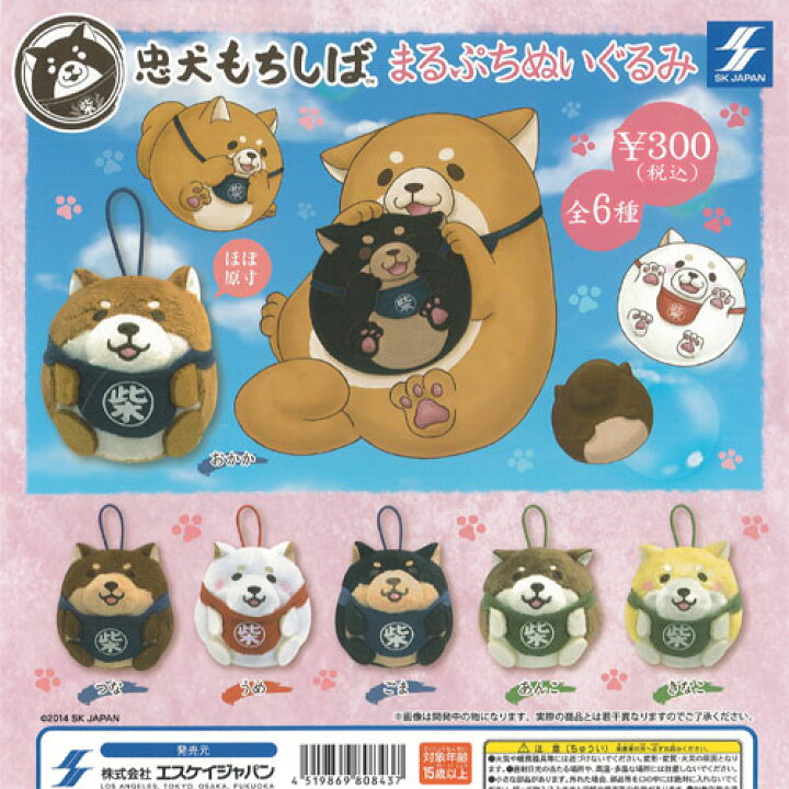 楽天市場】忠犬もちしば まるぷち ぬいぐるみ 全6種+ディスプレイ台紙 