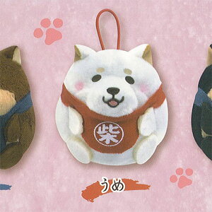  ܂Ղ ʂ 4F GXPCWp K`| K`K` KV|