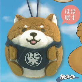 楽天市場 犬 ぬいぐるみ ホビー の通販 楽天市場 犬 ぬいぐるみ ホビー の通販