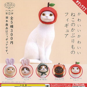 킢 킢 ˂̂Ԃ tBMA 1e S5+fBXvC䎆Zbg 权Nu K`| K`K` KV| Rv[g