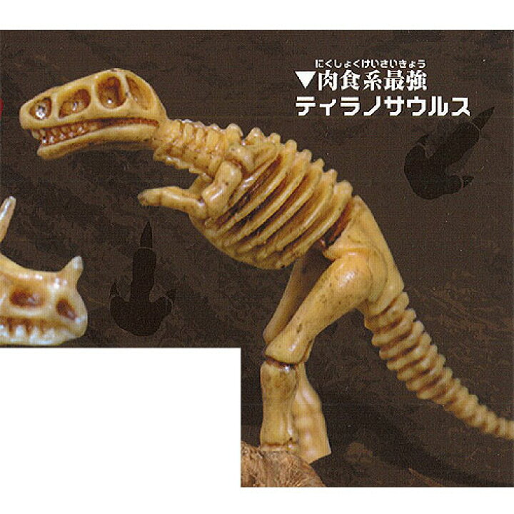 楽天市場 大恐竜 骨格辞典 コレクション フィギュア 2 ティラノサウルス ビーム ガチャポン ガチャガチャ ガシャポン 遊you 楽天市場店
