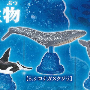 N}O  Cm 5FViKXNW G|bN K`| K`K` KV|